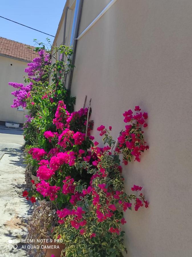 Apartments Iva Pakoštane Εξωτερικό φωτογραφία